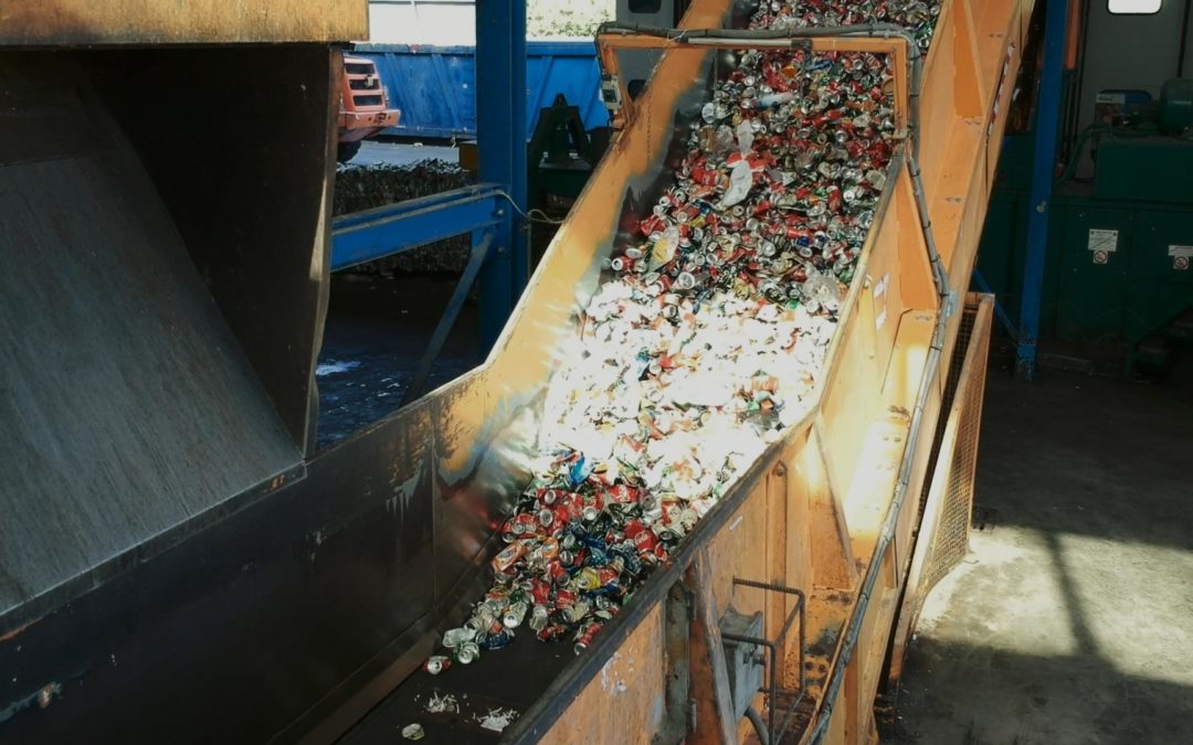 Pioppogatto: Linea lavorazione e valorizzazione PAP